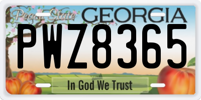 GA license plate PWZ8365