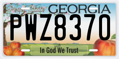 GA license plate PWZ8370