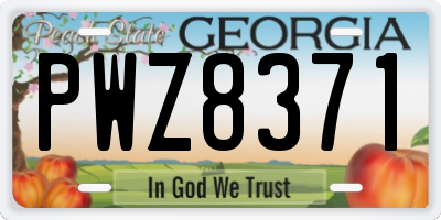 GA license plate PWZ8371