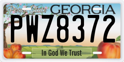 GA license plate PWZ8372