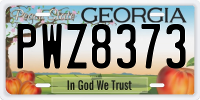 GA license plate PWZ8373