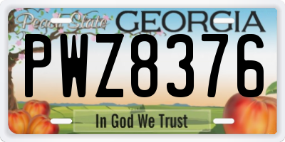 GA license plate PWZ8376