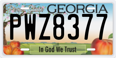 GA license plate PWZ8377
