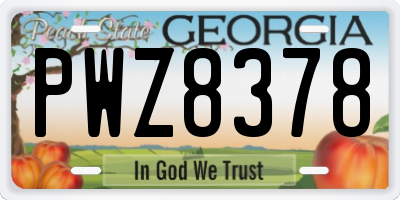 GA license plate PWZ8378