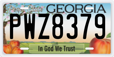 GA license plate PWZ8379