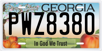 GA license plate PWZ8380