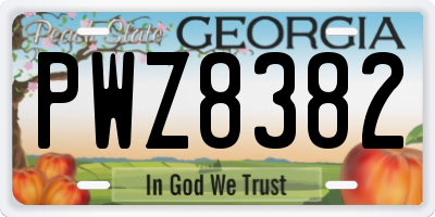 GA license plate PWZ8382