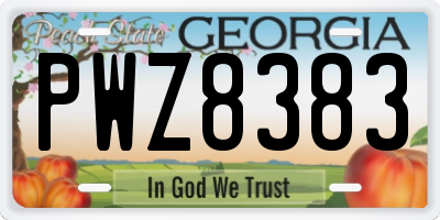 GA license plate PWZ8383