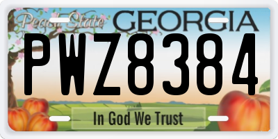 GA license plate PWZ8384