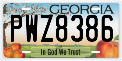 GA license plate PWZ8386