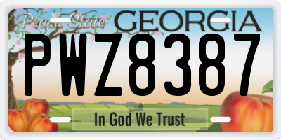 GA license plate PWZ8387