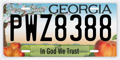GA license plate PWZ8388