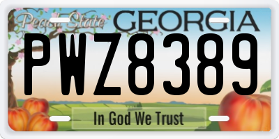 GA license plate PWZ8389