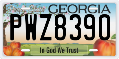 GA license plate PWZ8390