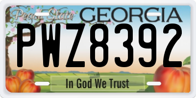 GA license plate PWZ8392