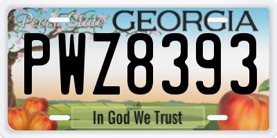 GA license plate PWZ8393