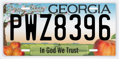 GA license plate PWZ8396