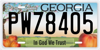 GA license plate PWZ8405