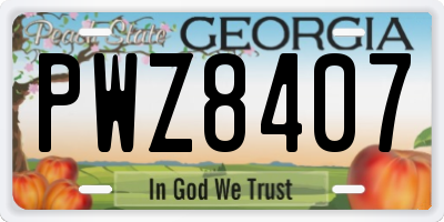 GA license plate PWZ8407