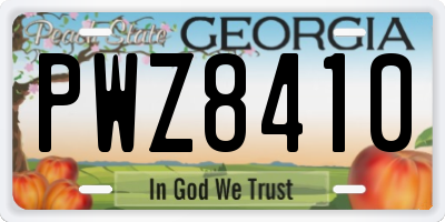 GA license plate PWZ8410
