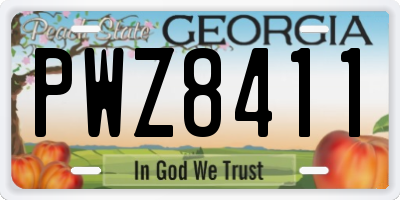 GA license plate PWZ8411