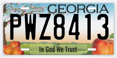 GA license plate PWZ8413