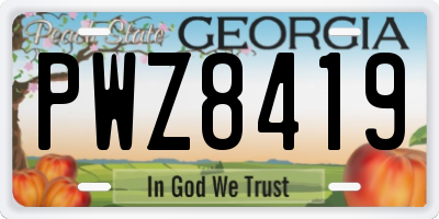 GA license plate PWZ8419