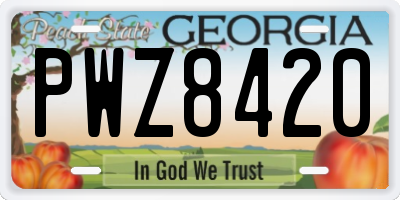 GA license plate PWZ8420