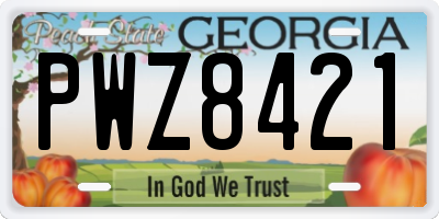 GA license plate PWZ8421