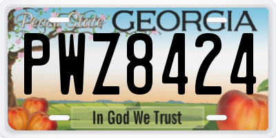 GA license plate PWZ8424
