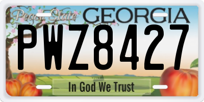 GA license plate PWZ8427