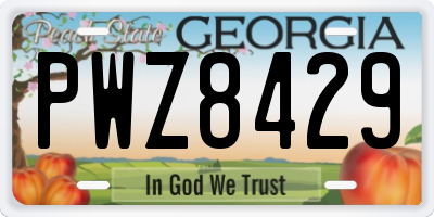 GA license plate PWZ8429