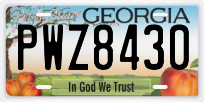 GA license plate PWZ8430