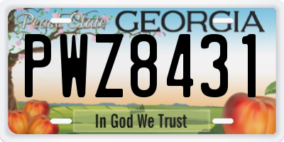 GA license plate PWZ8431