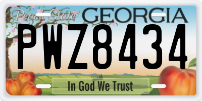GA license plate PWZ8434