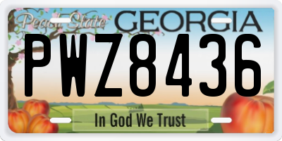 GA license plate PWZ8436