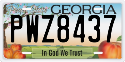 GA license plate PWZ8437