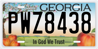GA license plate PWZ8438