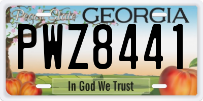 GA license plate PWZ8441