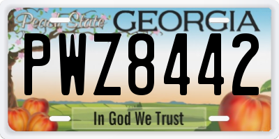 GA license plate PWZ8442