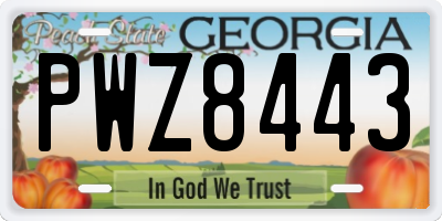 GA license plate PWZ8443