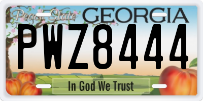 GA license plate PWZ8444