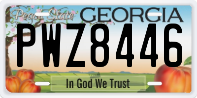 GA license plate PWZ8446