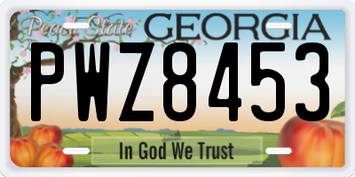 GA license plate PWZ8453