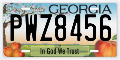 GA license plate PWZ8456