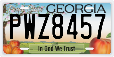GA license plate PWZ8457
