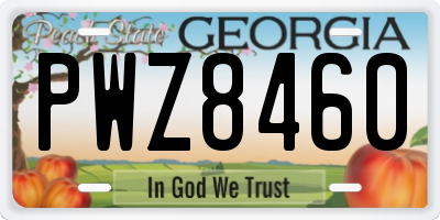 GA license plate PWZ8460