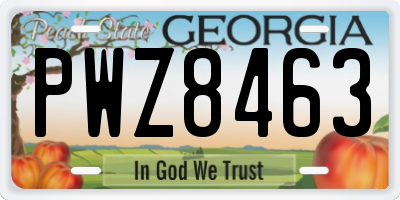 GA license plate PWZ8463