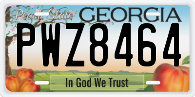 GA license plate PWZ8464