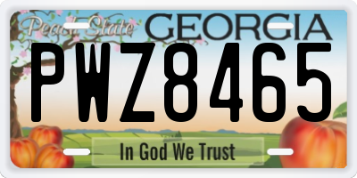GA license plate PWZ8465